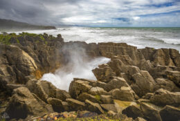 New Zealand 2025 (1 group) (15/66)